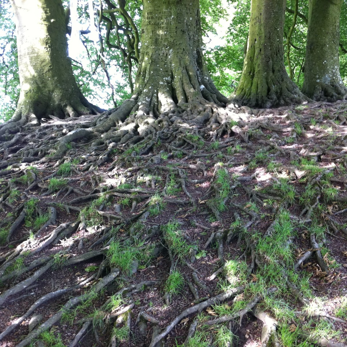 February 2022 Newsletter