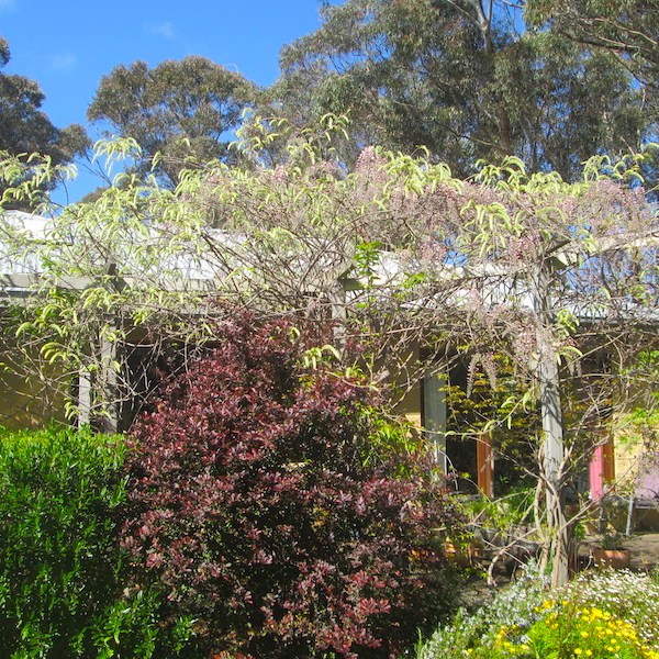 October 2020 Newsletter