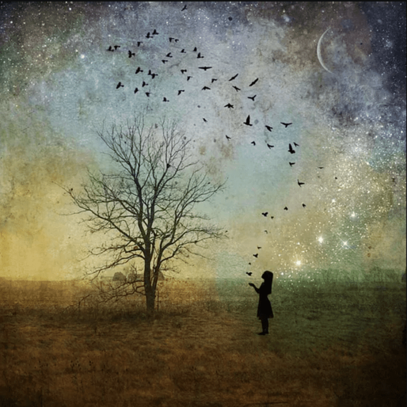 December 2020 Newsletter