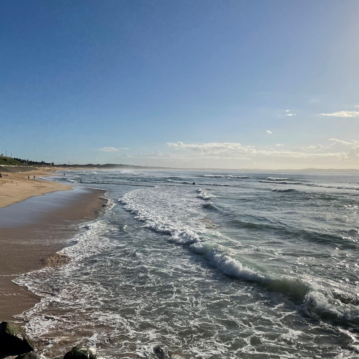 March 2021 Newsletter