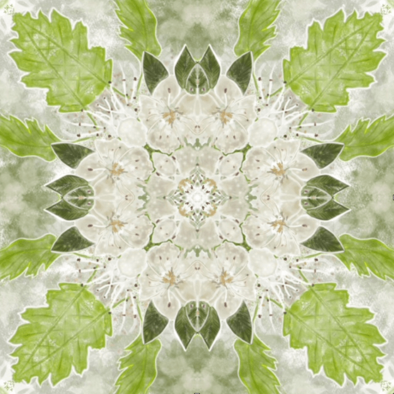 November 2021 New Moon News