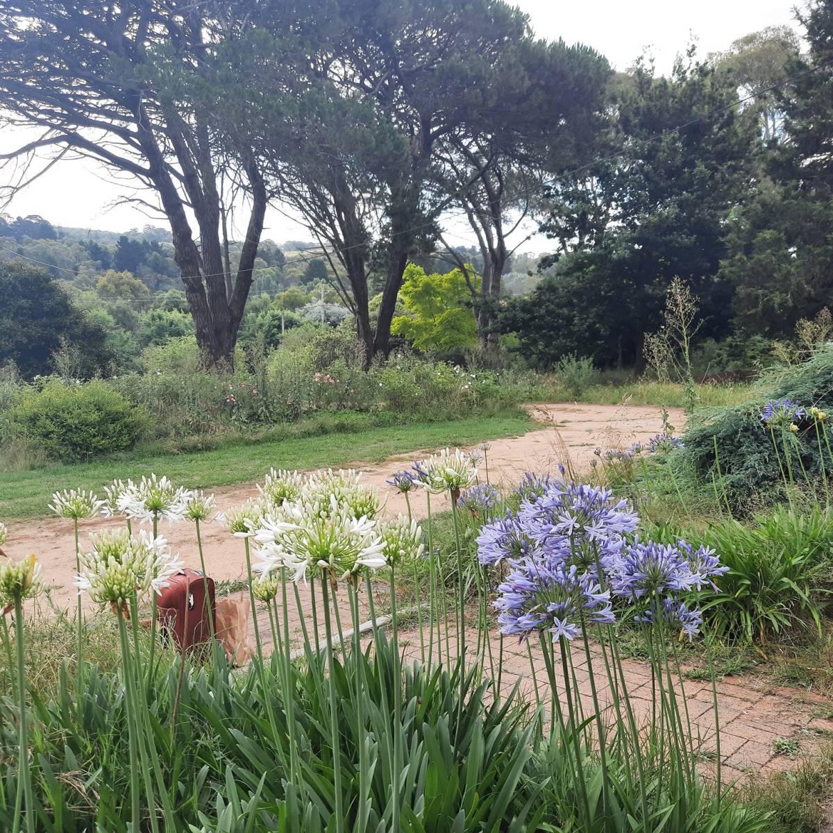 January 2022 Newsletter